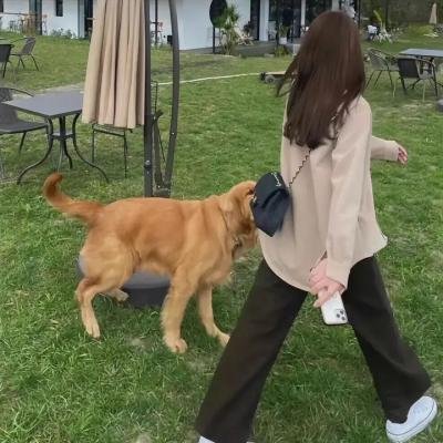 拯救爱情