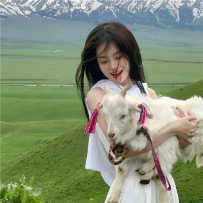 铁丝中的风